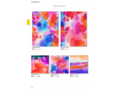 Salvadori - Painting01 218