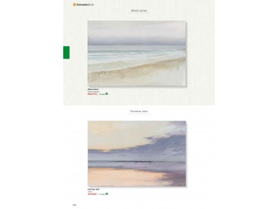 Salvadori - Painting01 430