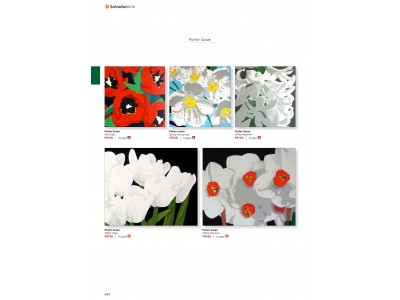 Salvadori - Painting01 618
