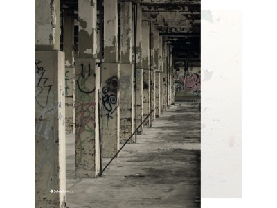 RustXXX 29